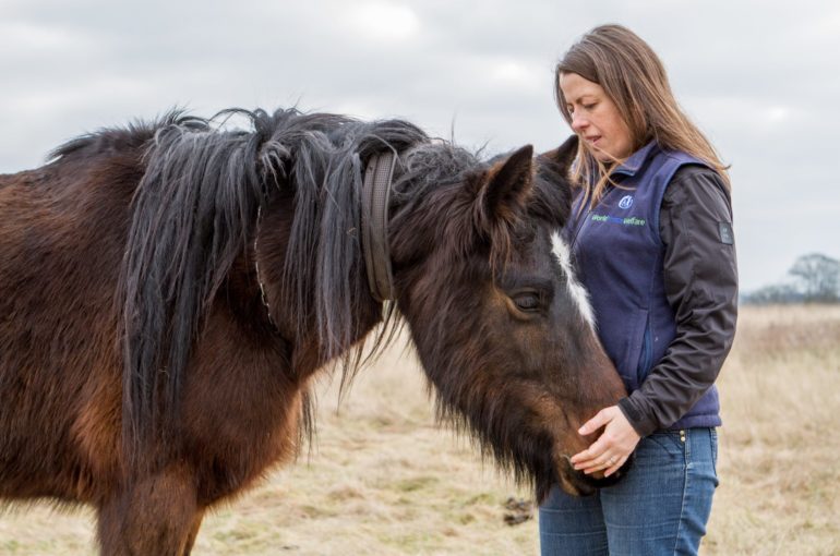 World Horse Welfare ventures onto the airwaves for the 1st time