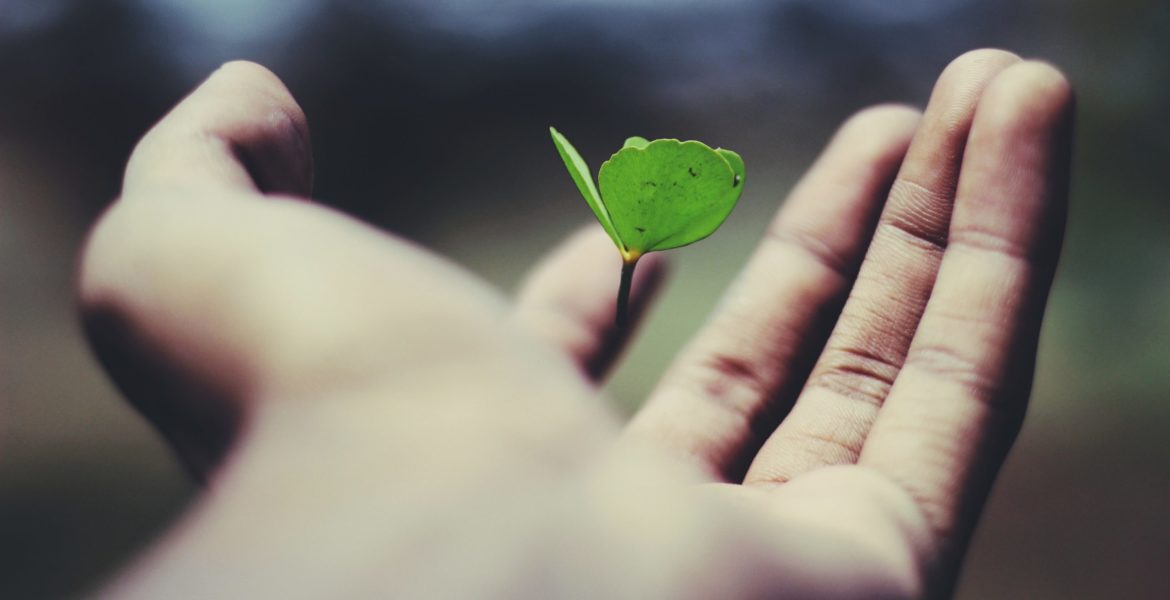 Is advertising’s optimism matched with real prospects of growth?