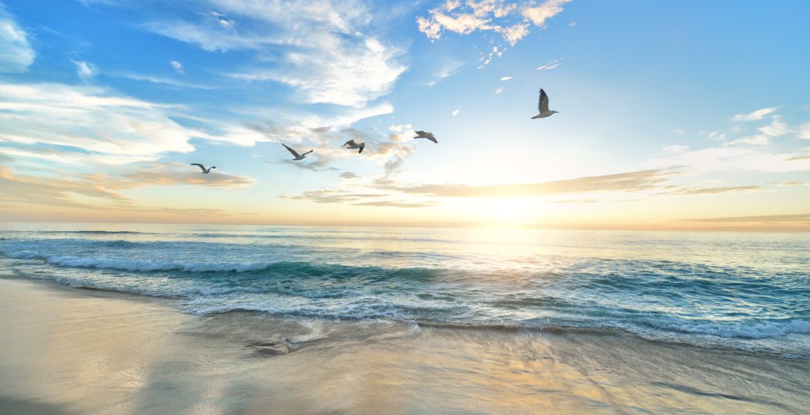 Why we must free digital talent from agency silos
